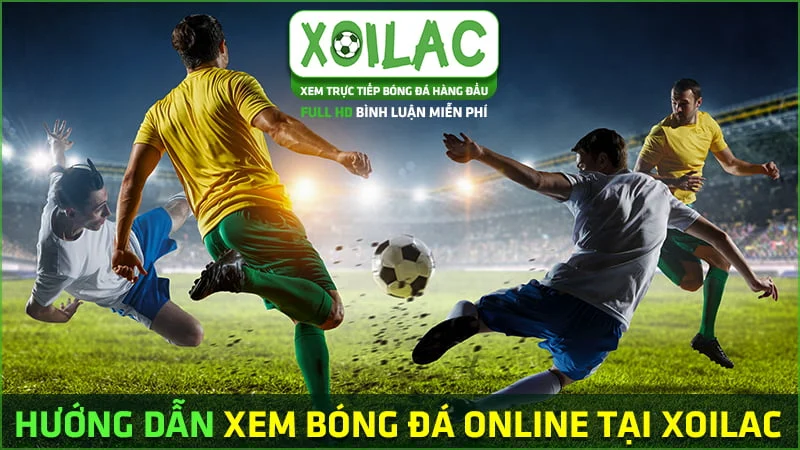 vao rồi xoilac